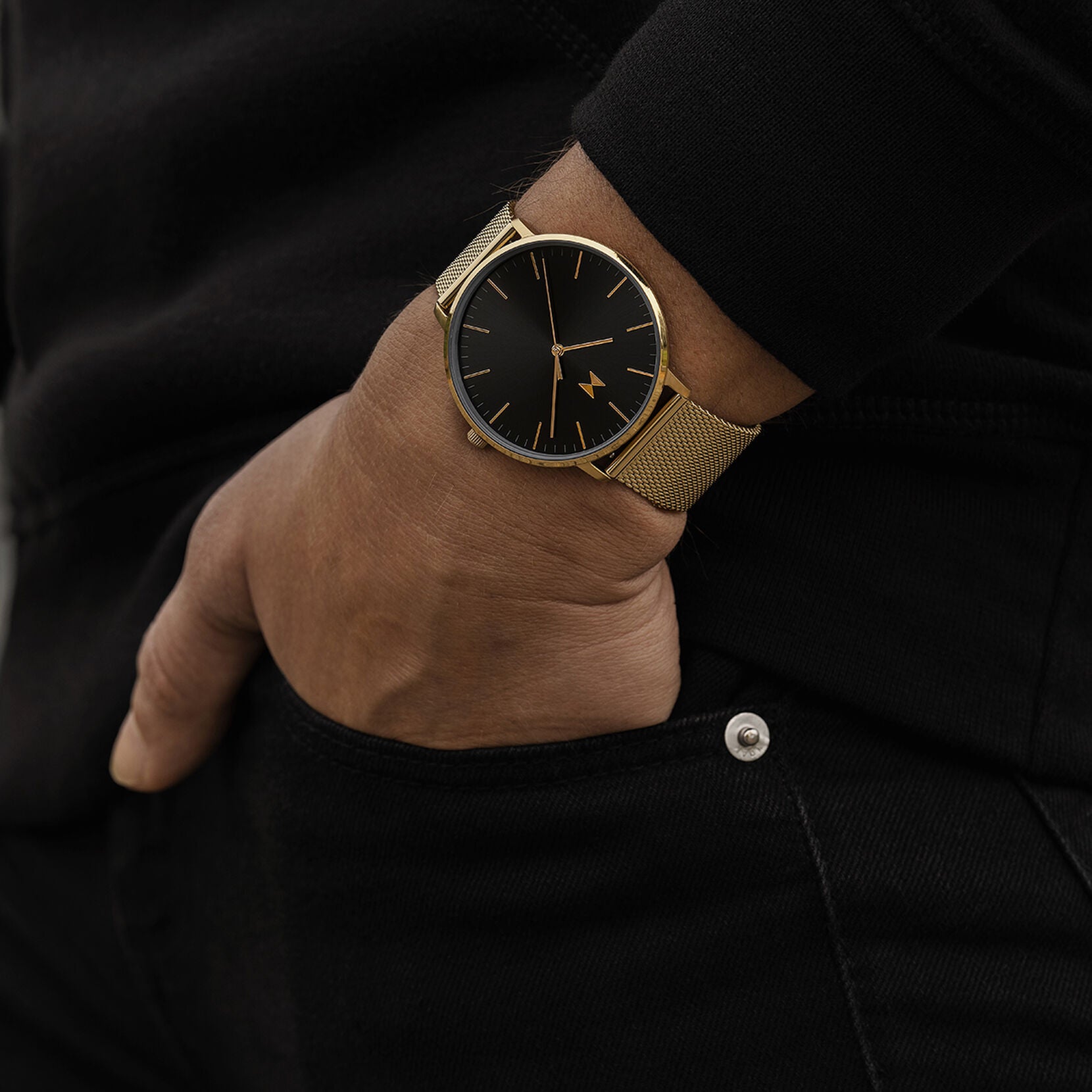 Legacy Slim | Lion Gold | 42MM - image 7