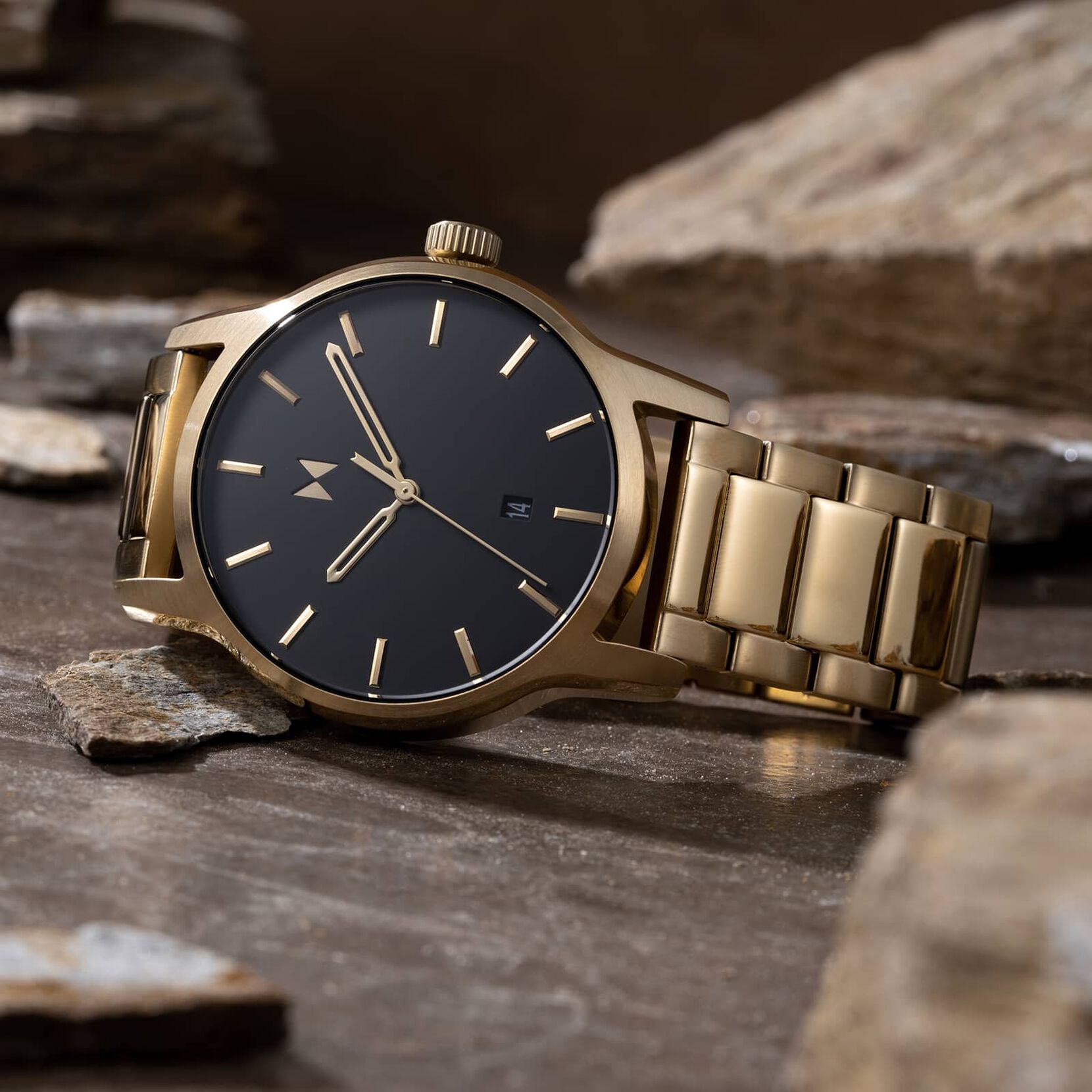 Classic II | Lion Gold | 44MM - image 4