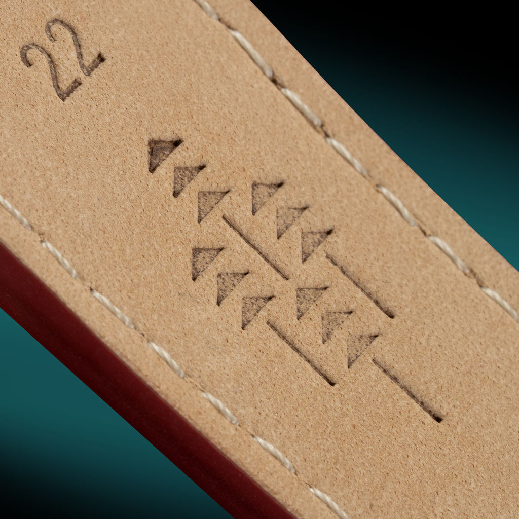 Airhawk | Alpine Treasure | 42MM - image 8