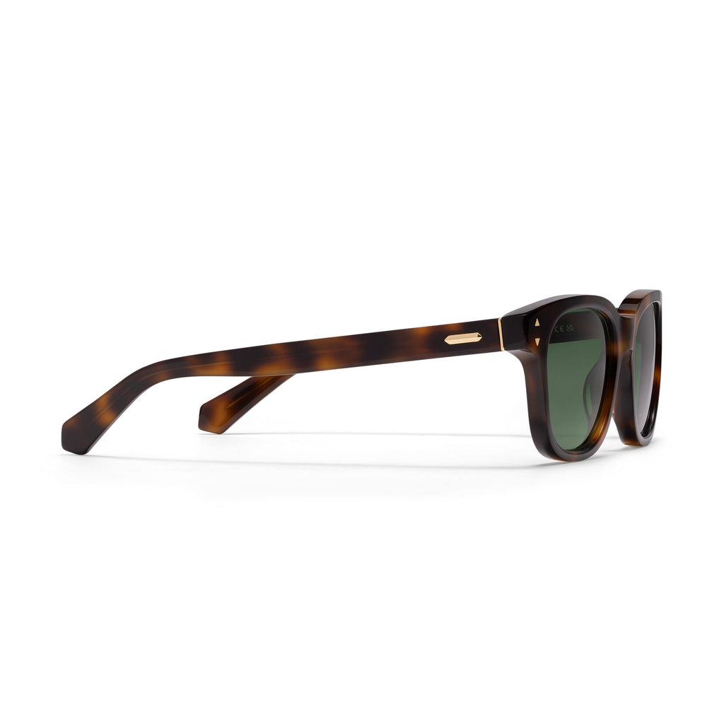 Malibu Round Sunglasses | Tortoise Frame + Green Lens | Polarized - image 5