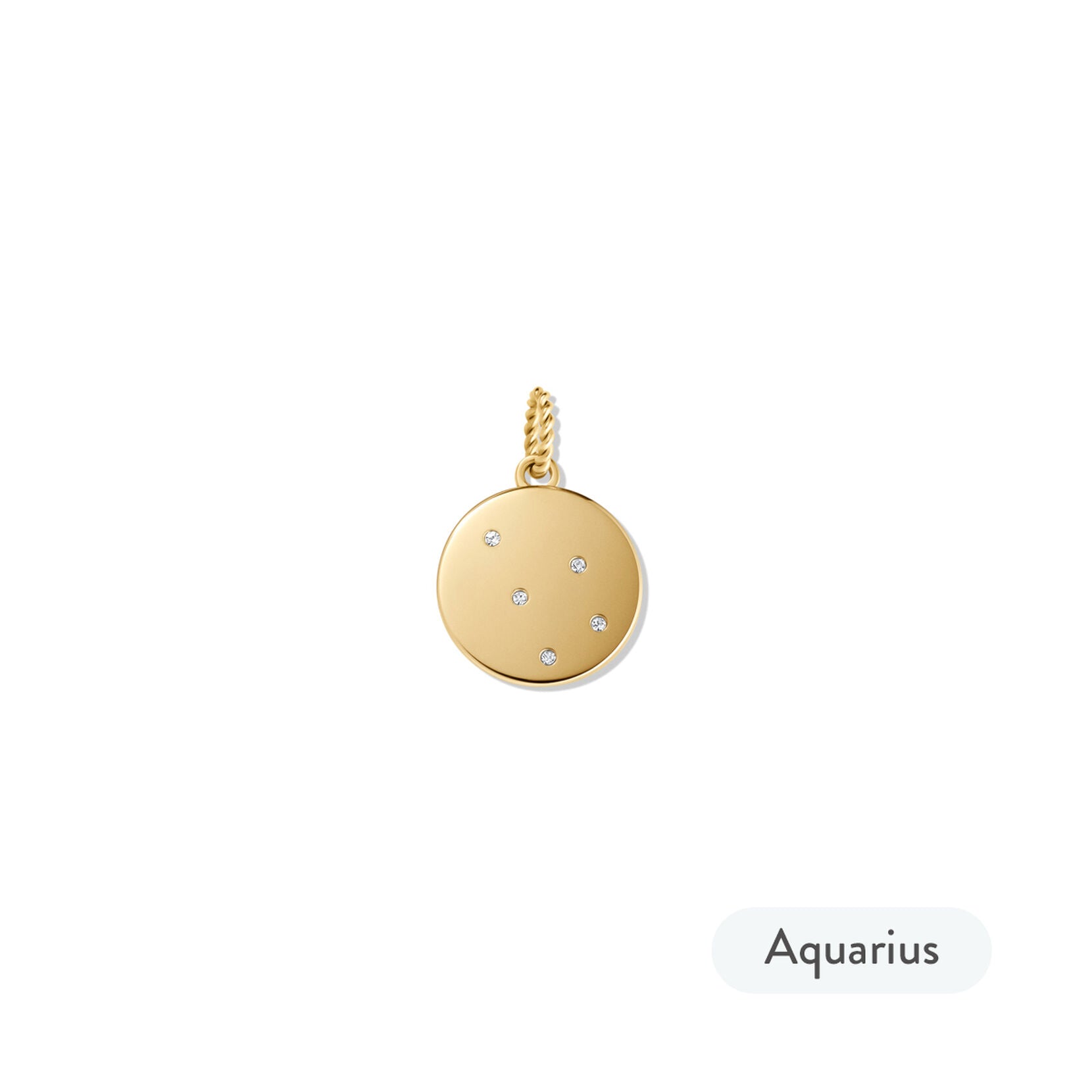 Zodiac Charm - Aquarius | Gold - image 2